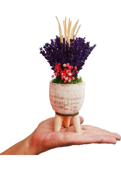Lavanta Cream Kuru Çiçek Aranjman & Dekoratif Çiçek 15-20 cm & Doğum Günü Hediyesi fiyatları