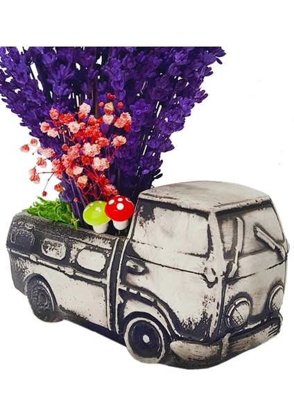 Sevgi Arabası Lavanta & Yapay & Kuru Çiçek & Dekoratif Çiçek & Beton Saksı 15-20 cm