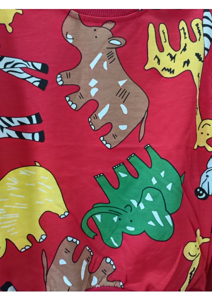 Renkli Alt Üst Takım Pijama Takımı fiyatları
