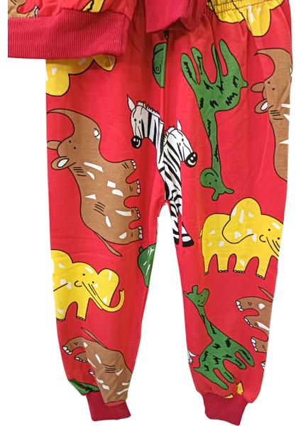 Renkli Alt Üst Takım Pijama Takımı modelleri