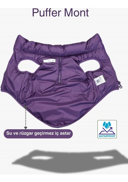 Küçük ve Orta Irk Köpek Montu, Salya Store Köpek Kıyafeti Şişme Köpek Mont indirimleri