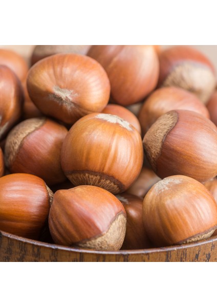 Giresun Kabuklu Fındık 500 gr