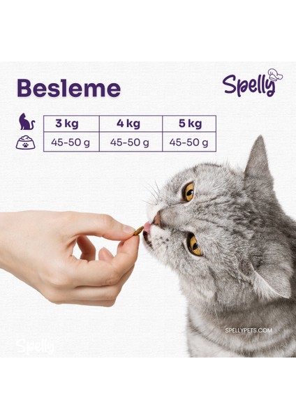 Premium Kısırlaştırılmış Kedi Maması - Somon (1,2kg) fırsatları