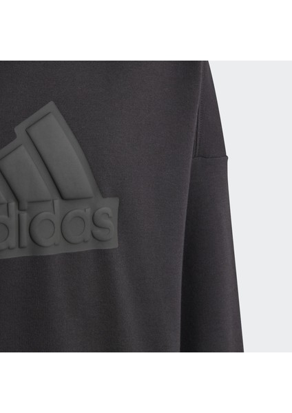 Sportswear HR6301 Future Icons Logo Hooded Sweatshirt indirimleri