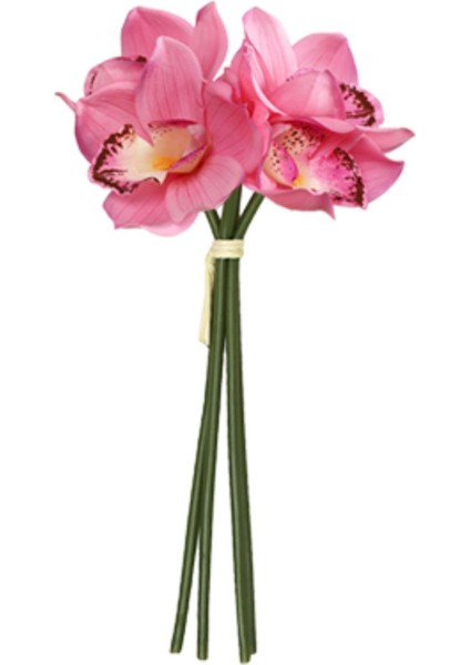 Cymbidium Hediyesi Nemlendirici Doğum Günü Için Gerçekçi (Yurt Dışından)
