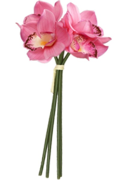 Cymbidium Hediyesi Nemlendirici Doğum Günü Için Gerçekçi (Yurt Dışından) fiyatları