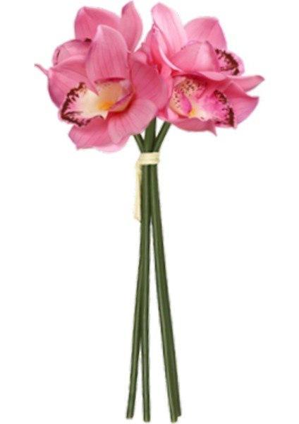 Cymbidium Hediyesi Nemlendirici Doğum Günü Için Gerçekçi (Yurt Dışından) modelleri