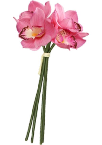 Cymbidium Hediyesi Nemlendirici Doğum Günü Için Gerçekçi (Yurt Dışından) fırsatları