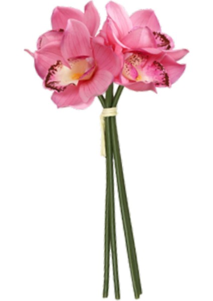 Cymbidium Hediyesi Nemlendirici Doğum Günü Için Gerçekçi (Yurt Dışından) indirimleri