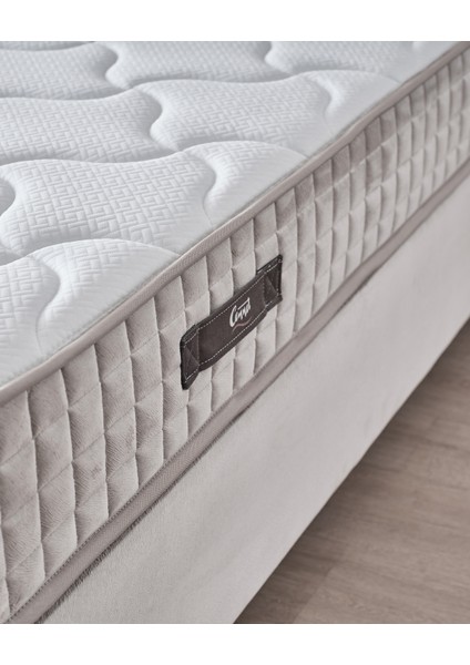 AE-7816 Manolya 3'lü Set (Yatak Baza Başlık) Tek Kişilik