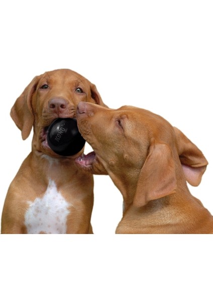 Köpek Extreme Ultra Sert Oyun Topu S fiyatları