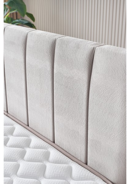 AE-7816 Manolya 3'lü Set (Yatak Baza Başlık) Çift Kişilik