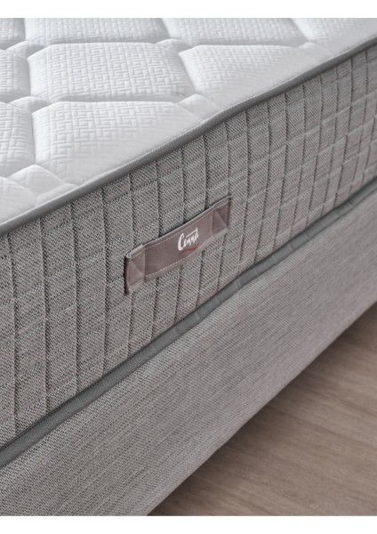AE-7817 Mimoza 3'lü Set (Yatak Baza Başlık) Tek Kişilik
