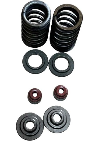 Bajaj Pulsar NS125 2'li Subap Keçesi Yayı Pimi Seti A