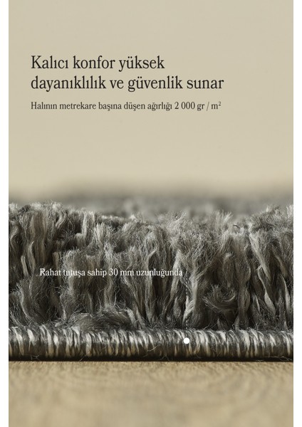 Shaggy Halı Yumuşak Shaggy, Kabarık, Düz, Gri Salon Halısı fırsatları