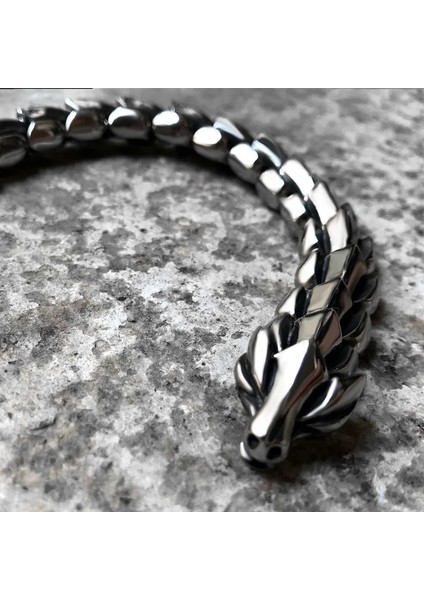 AL4067-GÜMÜŞ-21CM Erkekler Için Mighty Ejderha Iskelet Bilezik Moda Vintage Salma Zincir Bilezik Gümüş Renk Takı Hediye (Yurt Dışından) fiyatları