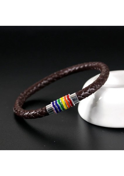 24CM Tarzı Kahverengi Kordon Gümüş 8 Renkler Hakiki Deri Örgülü Bilezik Eşcinsel Gurur Gökkuşağı Manyetik Charm Bilezik Erkekler Kadınlar Lover Çift Hediye (Yurt Dışından)