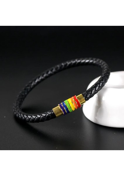 19CM Tarzı Siyah Kordon Altın 8 Renkler Hakiki Deri Örgülü Bilezik Eşcinsel Gurur Gökkuşağı Manyetik Charm Bilezik Erkekler Kadınlar Lover Çift Hediye (Yurt Dışından)