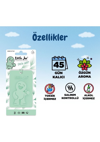 Taze Nane Kokulu Dolap Asma Kart (Fresh Mint) -45 Gün -Ipli Ev Oto Kokusu -Ayna Parfümü fiyatları