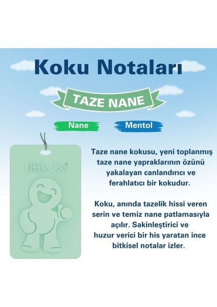 Taze Nane Kokulu Dolap Asma Kart (Fresh Mint) -45 Gün -Ipli Ev Oto Kokusu -Ayna Parfümü modelleri