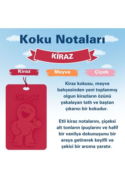 Kiraz Kokulu Dolap Asma Kart (Cherry) -45 Gün -Ipli Ev Oto Kokusu -Ayna Parfümü modelleri