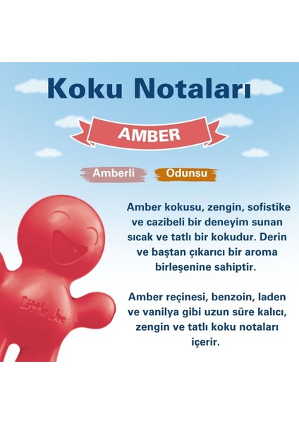 Amber Araç Kokusu (Amber) -45 Gün -Oto Kokusu Kalıcı Klima Parfüm modelleri