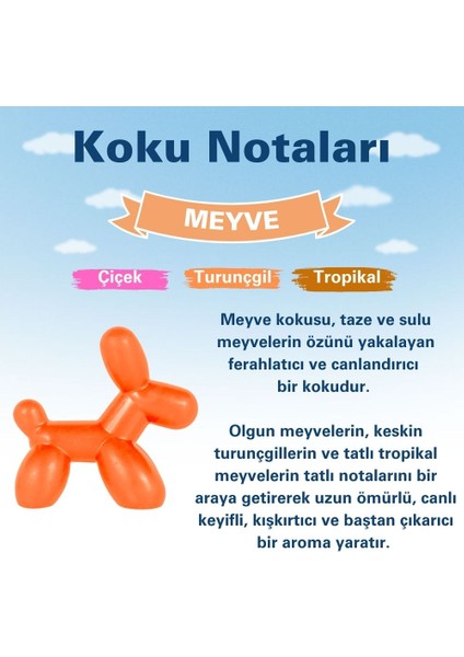 Little Dog Meyve Araç Kokusu (Fruit) -45 Gün -Oto Kokusu Kalıcı Klima Parfüm modelleri