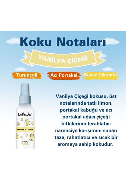 Vanilya Sprey Oda Kokusu 60 ml (Vanilla) -Koku Giderici -Oto Ev Ofis Parfüm fırsatları