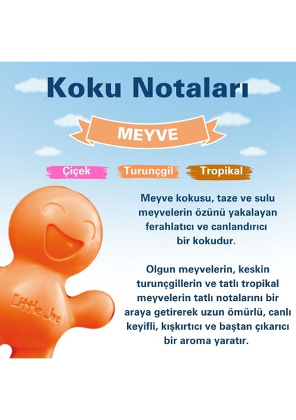 Meyve Araç Kokusu (Fruit) -45 Gün -Oto Kokusu Kalıcı Klima Parfüm modelleri