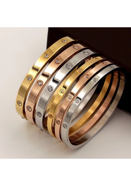 6mm Altın Rengi Fysara Lüks Lover Takı Kadın Bileklik Titanyum Çelik Çift Takı Tam Cz Beyaz Kristal Toka Bilezik Bilezik Erkekler (Yurt Dışından) indirimleri