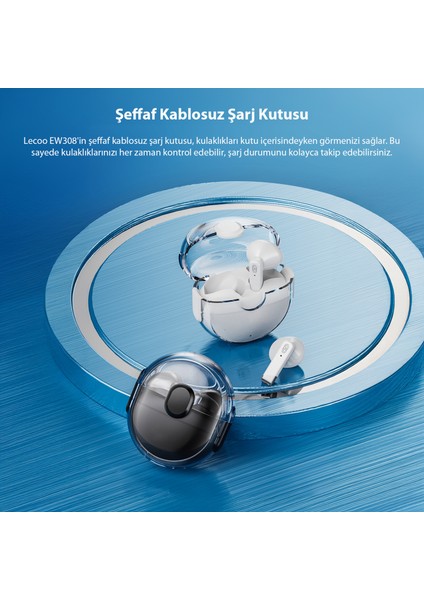 EW308 Kablosuz Bluetooth 5.1 TWS Mikrofonlu Kulak İçi Kulaklık Siyah