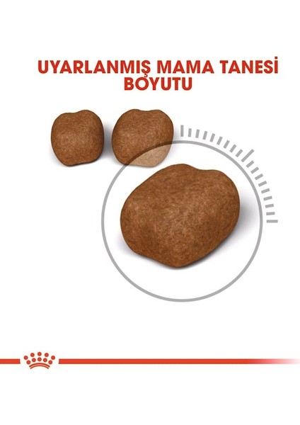 Oral Care Diş Sağlığı Kedi Maması 1,5 Kg fırsatları