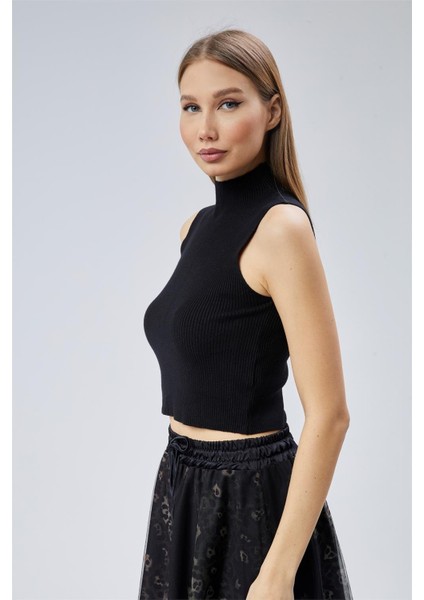 Dik Yaka Triko modelleri