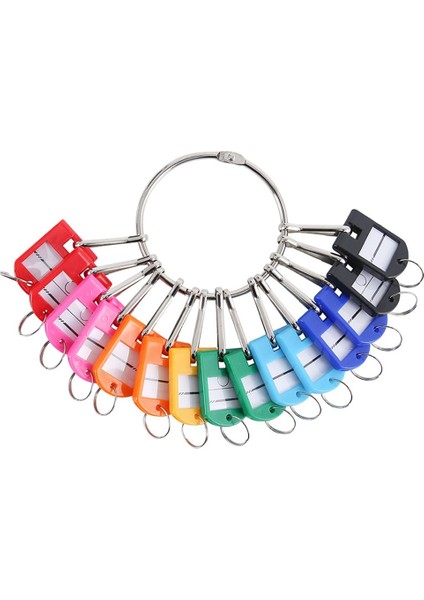Portable Metal Ring Key Organizer With 20 Spring Hooks & Key Tags With Ring And Label Window (Yurt Dışından)