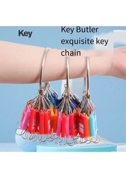 Portable Metal Ring Key Organizer With 20 Spring Hooks & Key Tags With Ring And Label Window (Yurt Dışından)