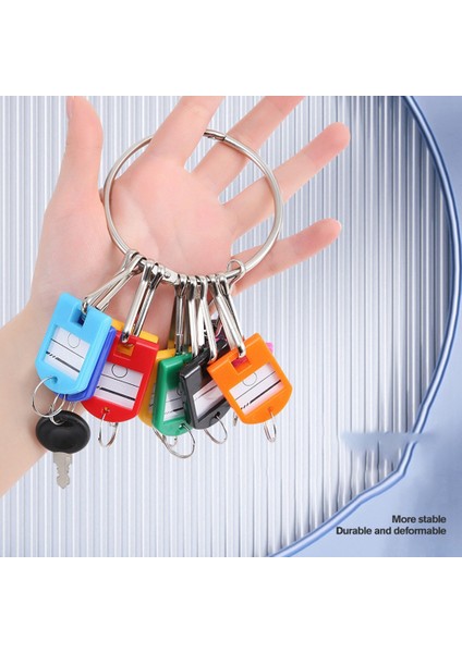 Portable Metal Ring Key Organizer With 20 Spring Hooks & Key Tags With Ring And Label Window (Yurt Dışından)