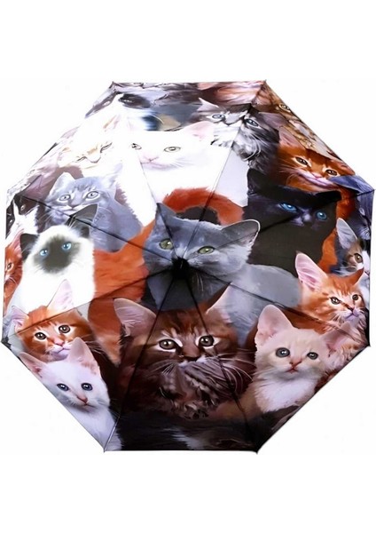 Kedi Desenli Canlı Lüx Renkli Baskılı Rüzgara Dayanıklı 8 Telli Katlanabilir Manuel Şemsiye