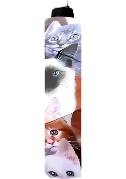 Kedi Desenli Canlı Lüx Renkli Baskılı Rüzgara Dayanıklı 8 Telli Katlanabilir Manuel Şemsiye fırsatları