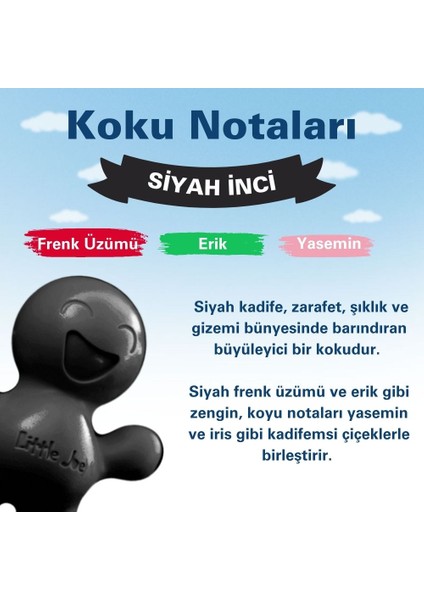 Siyah Inci Araç Kokusu (Velvet) -45 Gün -Oto Kokusu Kalıcı Klima Parfüm modelleri