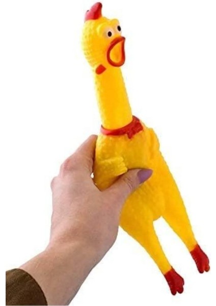 Öten Tavuk Köpek Oyuncağı Orta Boy