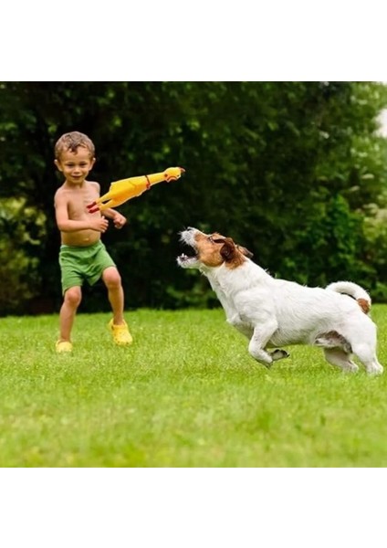 Öten Tavuk Köpek Oyuncağı Orta Boy