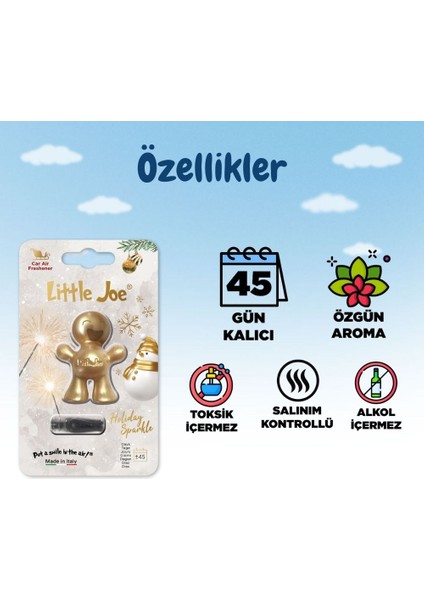 Meyve Çiçek Araç Kokusu (Holiday Sparkle) -45 Gün -Oto Kokusu Kalıcı Klima Parfüm fiyatları