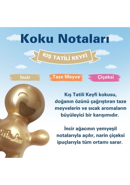 Meyve Çiçek Araç Kokusu (Holiday Sparkle) -45 Gün -Oto Kokusu Kalıcı Klima Parfüm modelleri