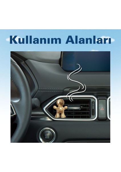 Meyve Çiçek Araç Kokusu (Holiday Sparkle) -45 Gün -Oto Kokusu Kalıcı Klima Parfüm fırsatları