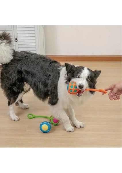 Silikon Toplu Çekiştirme Köpek Oyuncağı
