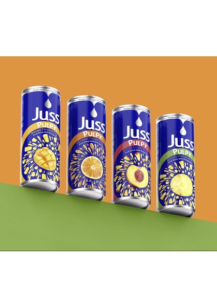 PARÇACIKLI İÇECEK PORTAKAL 250 ML KUTU
