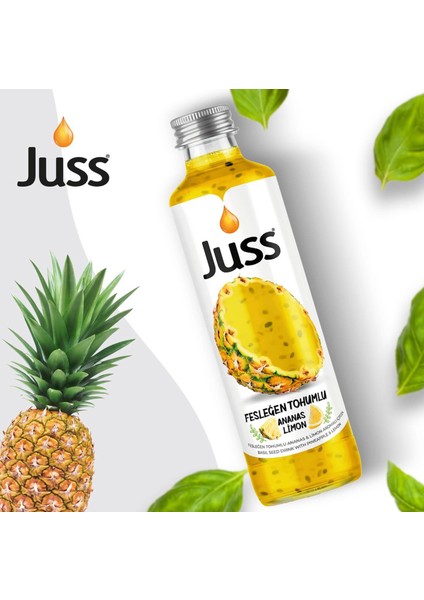 Fesleğen Tohumlu Ananas&limon Aromalı Meyve Suyu 6'lı 250 ML modelleri