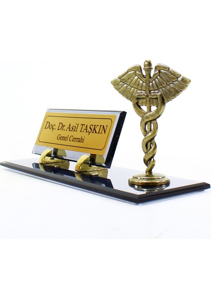 Doktor Eczacı Veteriner Fizyoterapist Klinik Psikolog Hemşire Cam Antik Krom Kaplama Tıp Sembollü Masa Isimliği