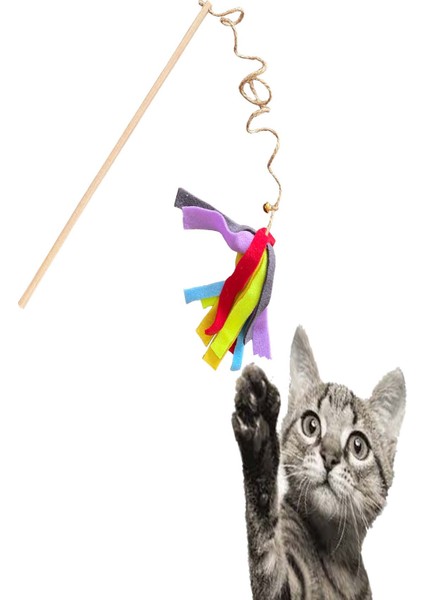 Ekonomik Jüt Ipli Kedi Oyun Oltası