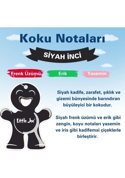 Siyah Inci Araç Asma Koku (Black Velvet) -30 Gün -Ipli Oto Kokusu -Ayna Parfümü modelleri